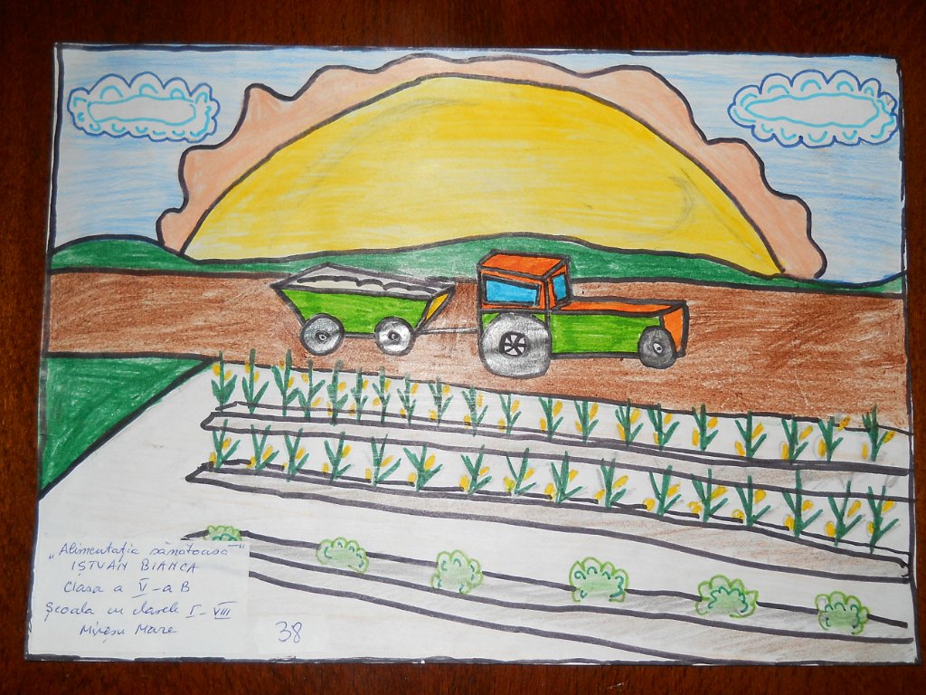 38_Istvan Bianca_Sc Miresu M_Gimn.JPG